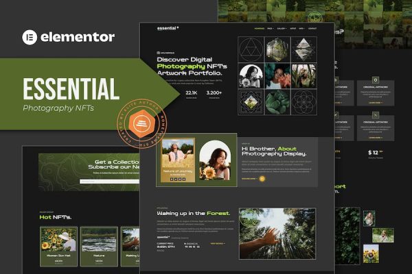 Essential - Photography NFT Portfolio Elementor Template Kit