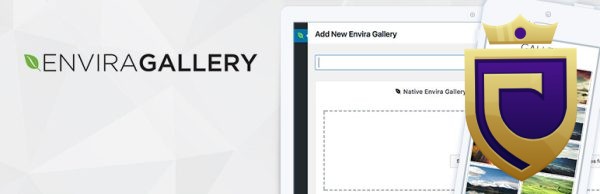 Envira Gallery Pro – Gallery Themes Addon