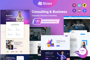 Download Bizex - Business Consulting WordPress Theme
