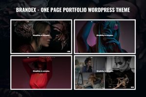 Download Brandex - One Page Portfolio WordPress Theme