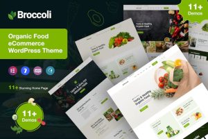 Download Broccoli - Organic Shop WooCommerce Theme