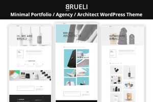 Download Brueli - Portfolio Agency Architect WordPress