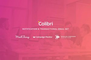 Download Colibri - Notification Email Templates Colibri - Notification & Transactional Email Templates with Online Builder