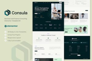 Download Consula - Business and Finance Consulting Elementor Template Kit