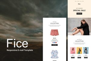 Download Fice - Ecommerce Responsive E-mail Template