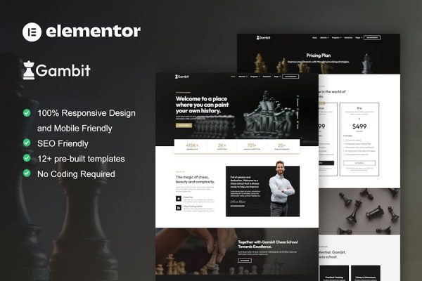 Download Gambit - Chess Club Courses & Training Elementor Template Kit