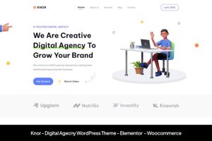 Download Knor - Digital Agecny WordPress Theme