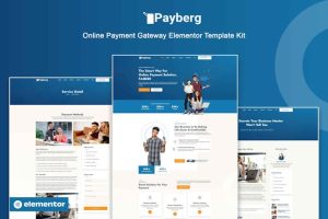 Download Payberg - Online Payment Gateway Elementor Pro Template Kit