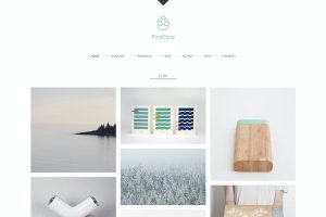 Download PineCone - Creative Portfolio and Blog for Agency