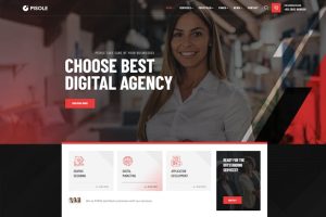 Download Pisole - Digital Creative Agency WordPress Theme