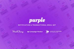 Download Purple - Notification Email Templates Purple - Notification & Transactional Email Templates