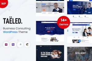 Download TAELED - Business Consulting WordPress Theme