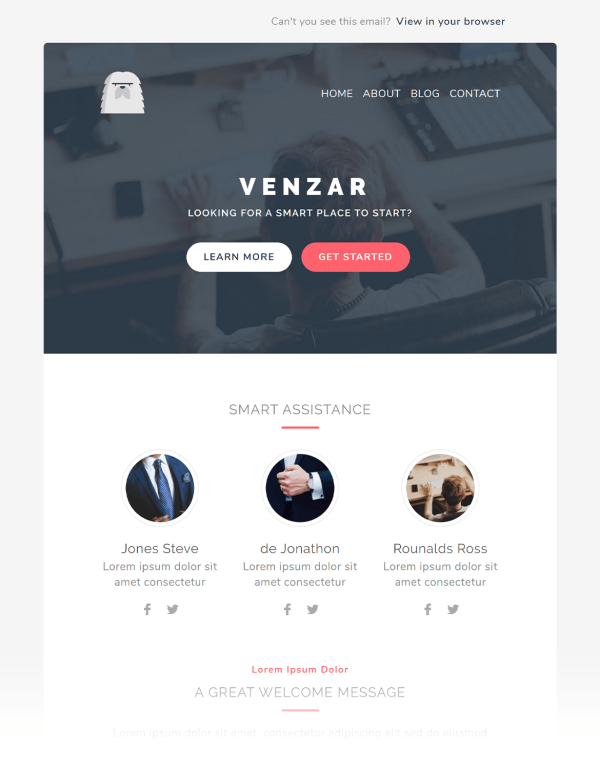 Download Venzar Responsive Clean Email Template Responsive, fits in every screens, easy to edit, clean and creative newsletter email template
