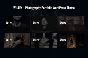 Download Willex - Photography Portfolio WordPress Theme