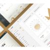 Download Zapily - Responsive Bootstrap Admin & Powerful UI Responsive Bootstrap Admin & Powerful UI Kit