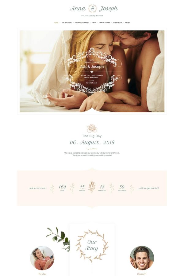 Download Alis - Wedding Planner WordPress Theme The Ultimate Niche Theme for the Wedding Industry