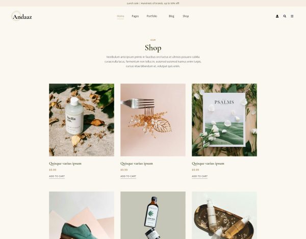 Download Andaaz - Lifestyle and Travel Blog WordPress Theme For all modern creative, Lifestyle magazine , and travel blog website