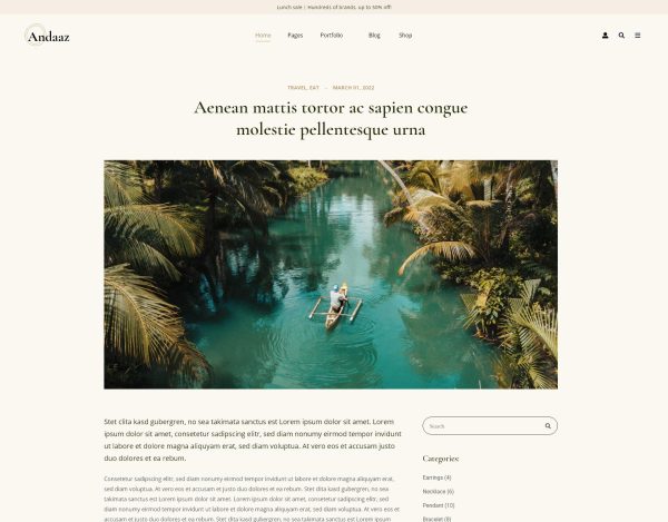 Download Andaaz - Lifestyle and Travel Blog WordPress Theme For all modern creative, Lifestyle magazine , and travel blog website