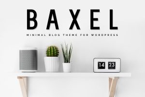 Download Baxel - Minimalist WordPress Blog Theme A fresh style, light colors and organized view. Those are what Baxel brings to you.