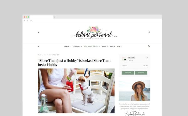 Download Belinni - Multi-Concept Blog / Magazine WordPress No coding knowledge required