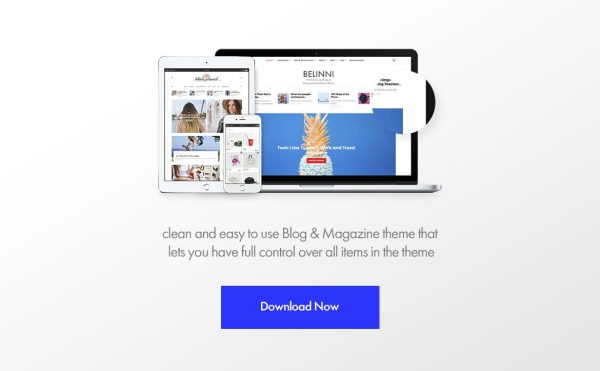 Download Belinni - Multi-Concept Blog / Magazine WordPress No coding knowledge required