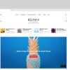 Download Belinni - Multi-Concept Blog / Magazine WordPress No coding knowledge required
