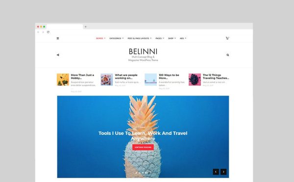 Download Belinni - Multi-Concept Blog / Magazine WordPress No coding knowledge required