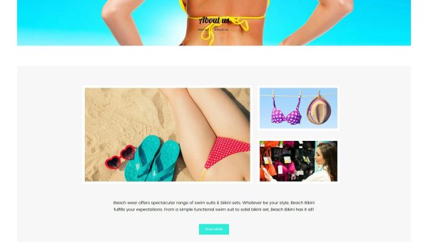 Download Bikini Beach - Lingerie, Bikini Shopify Theme