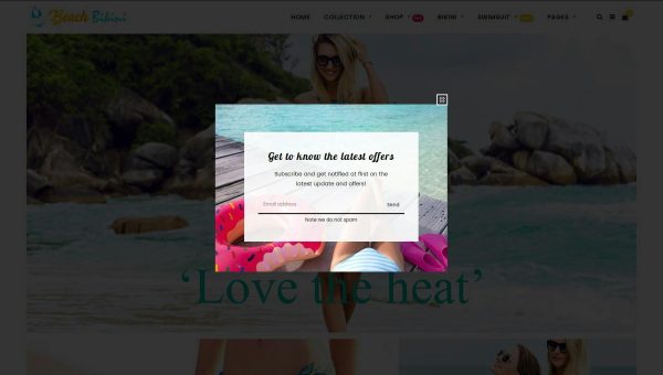 Download Bikini Beach - Lingerie, Bikini Shopify Theme