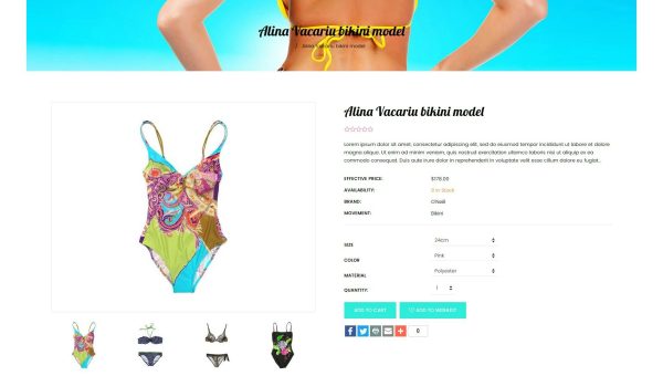 Download Bikini Beach - Lingerie, Bikini Shopify Theme