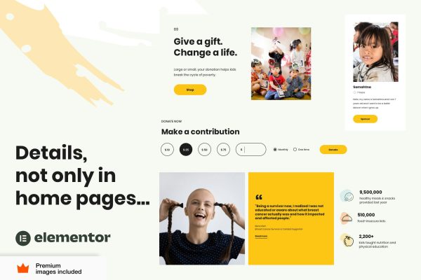 Download Caridad - Charity and Donations WordPress Theme The Ultimate Niche WordPress Elementor Pro Theme for Charity and Non-Profit Organizations