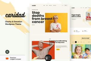 Download Caridad - Charity and Donations WordPress Theme The Ultimate Niche WordPress Elementor Pro Theme for Charity and Non-Profit Organizations