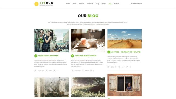 Download Citrus one page parallax Shopify Theme A Unique Shopify Store Design. Single Page Shop, Responsive  Theme with Options Panel for easy use.