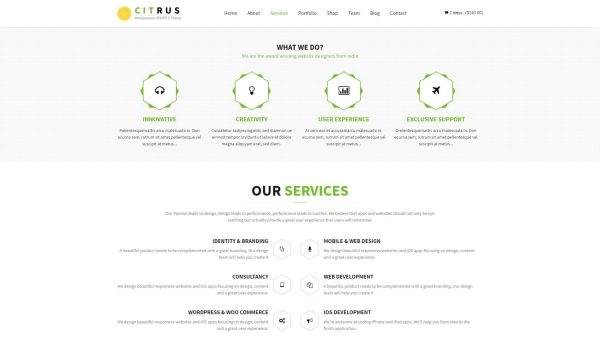 Download Citrus one page parallax Shopify Theme A Unique Shopify Store Design. Single Page Shop, Responsive  Theme with Options Panel for easy use.