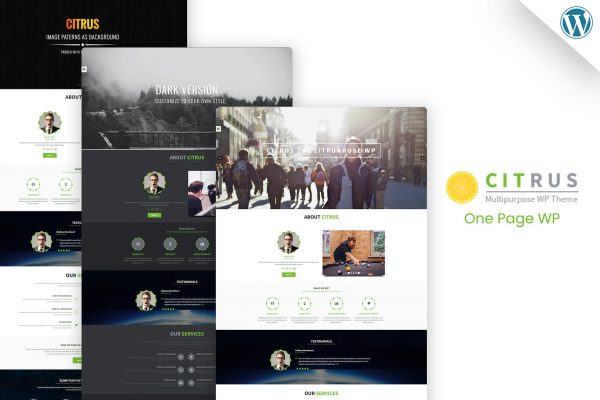 Download Citrus - One Page WordPress Theme Citrus One Page Multipurpose Woocommerce theme, Technology, Responsive, Dark and light theme.