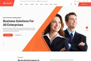 Download Consalti - Consultancy & Business WordPress Theme accountant, advisor, audit, beaver builder, broker, business, clean, company, consulting, corporate,
