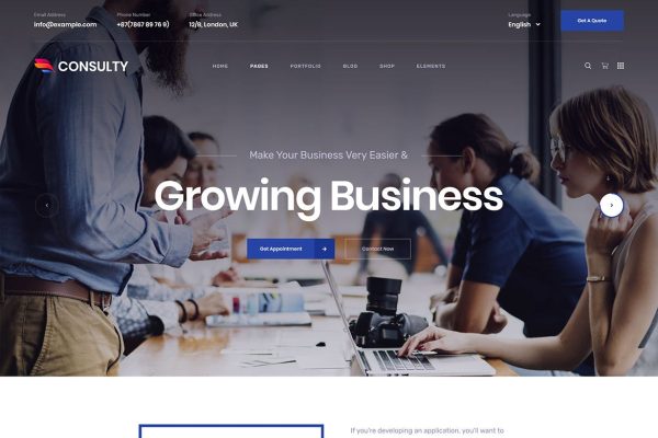 Download Consulty - Business Finance WordPress Theme advisor, analytical, audit, broker, brokerage, business, business wp, company, consulting, consulti