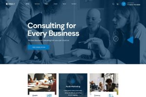 Download Conult - Consulting Business WordPress Themes Financial Advisors, Insurance & Investment, Finance Corporate Business Consulting