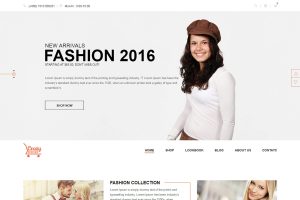 Download Crazy Fashion - Shopify Responsive Theme Crazy Fashion – Shopify Responsive Theme is a clean and elegant design