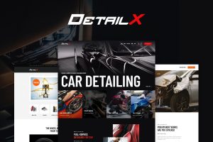 Download DetailX Car Detailing, Shop & Repair WordPress Theme