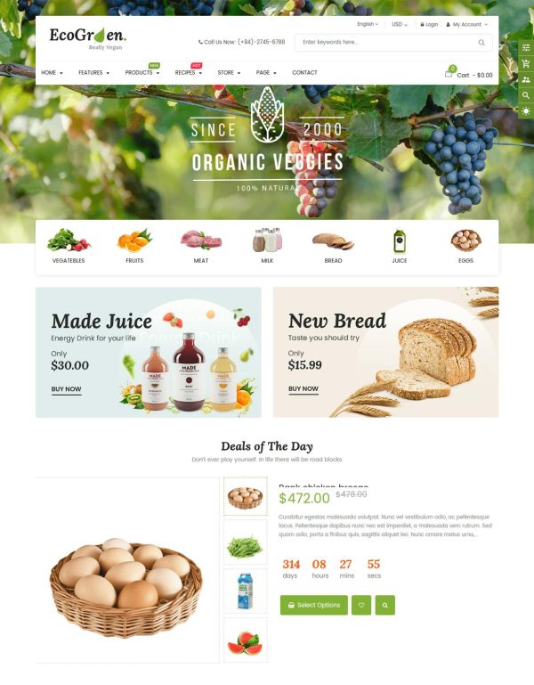 Download EcoGreen - Organic, Fruit, Vegetable Shopify Theme Multipurpose Organic, Fruit, Vegetables Shopify Responsive Theme