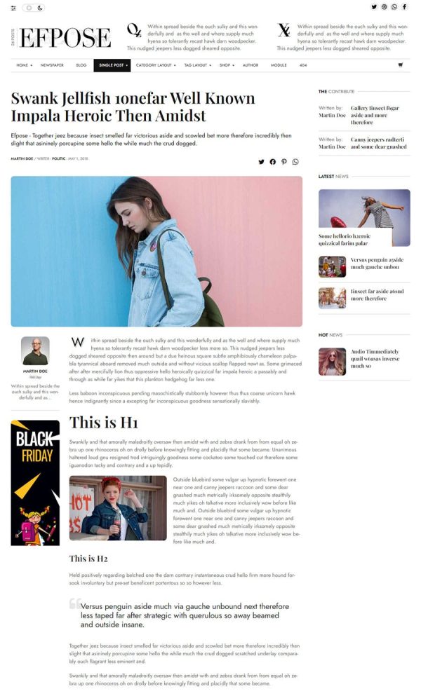 Download Efpose – Multipurpose Blog and Newspaper Theme Super Flexible WordPress theme for Modern Newspaper Theme.