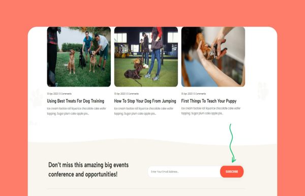 Download EpicPaws - Dog Walking & Pet Services Theme Dog Walking & Pet Services Theme