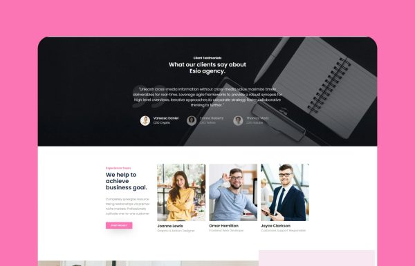 Download Esio - SEO & Marketing WordPress Theme SEO & Marketing WordPress Theme