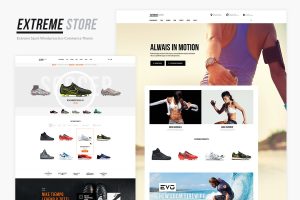 Download Extreme Sports Clothing & Equipment Store WordPress Theme
