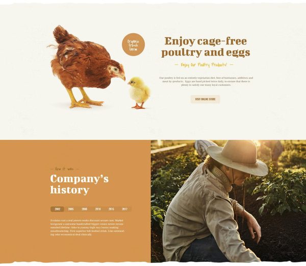 Download Farm Agrico - Agricultural Business WP Theme Powerful Agricultural Business WordPress Theme With Online Store
