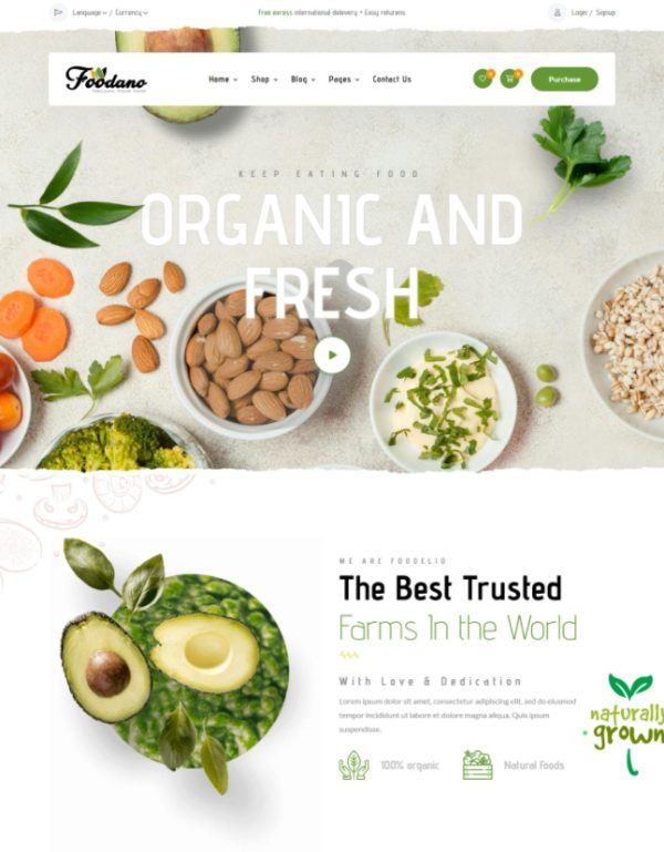 Download Foodano - Natural Food Shop WordPress Theme Foodano – Food & Grocery Theme designed for online groceries, organic bio products and grocery shop