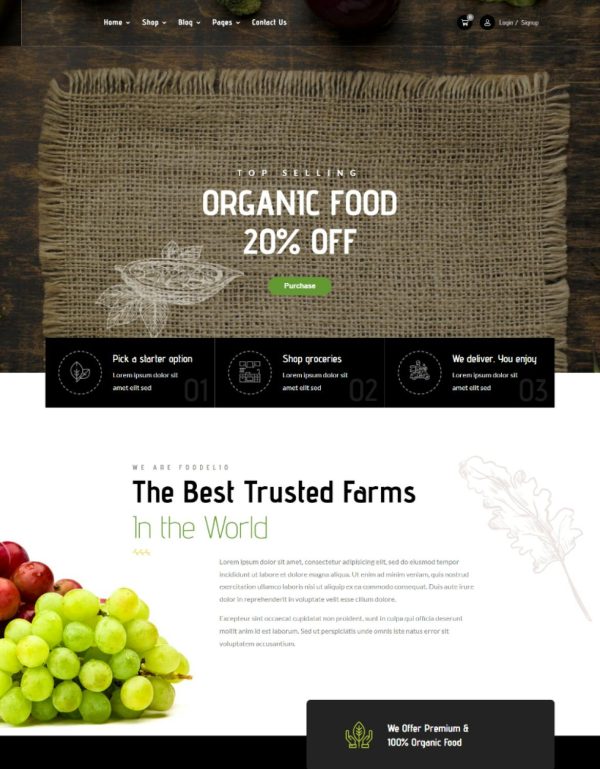 Download Foodano - Natural Food Shop WordPress Theme Foodano – Food & Grocery Theme designed for online groceries, organic bio products and grocery shop