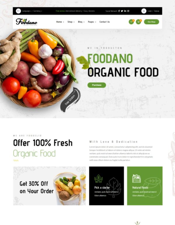 Download Foodano - Natural Food Shop WordPress Theme Foodano – Food & Grocery Theme designed for online groceries, organic bio products and grocery shop