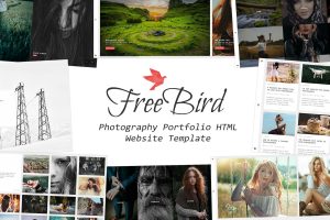 Download FreeBird - Photography Portfolio Website Template Photography Portfolio Website Template that comes with rich features and well-commented code.